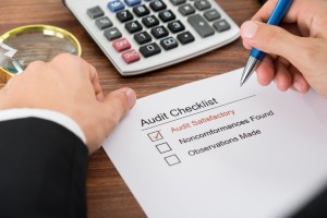 Audit Checklist Form